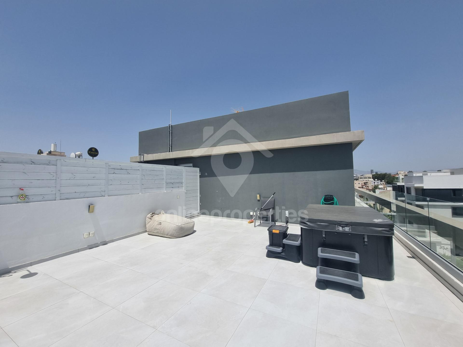 Top-floor apartment with rooftop garden 