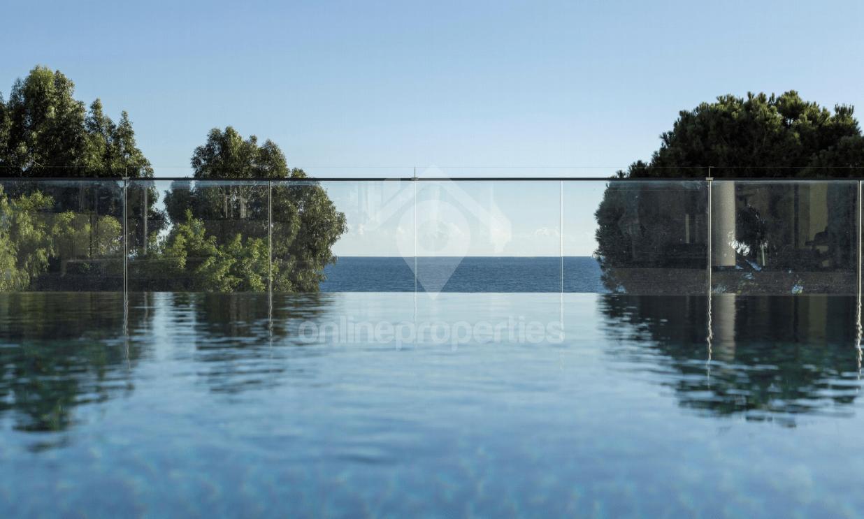 To change image, hover mouse over thumbnails below