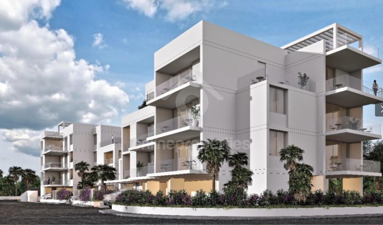 modern living and contemporary designed apartments 