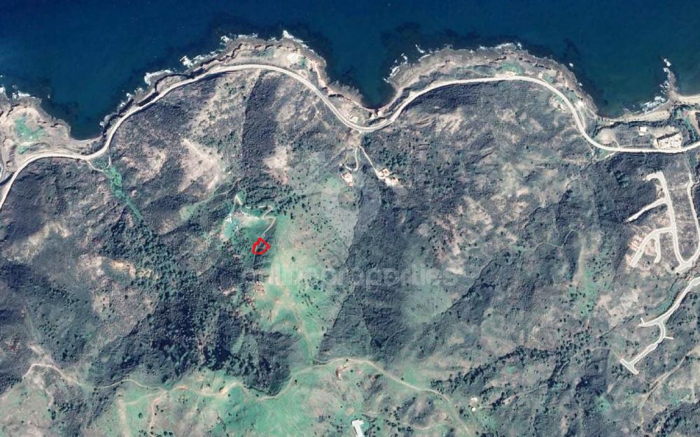 Field in Pigenia, Nicosia