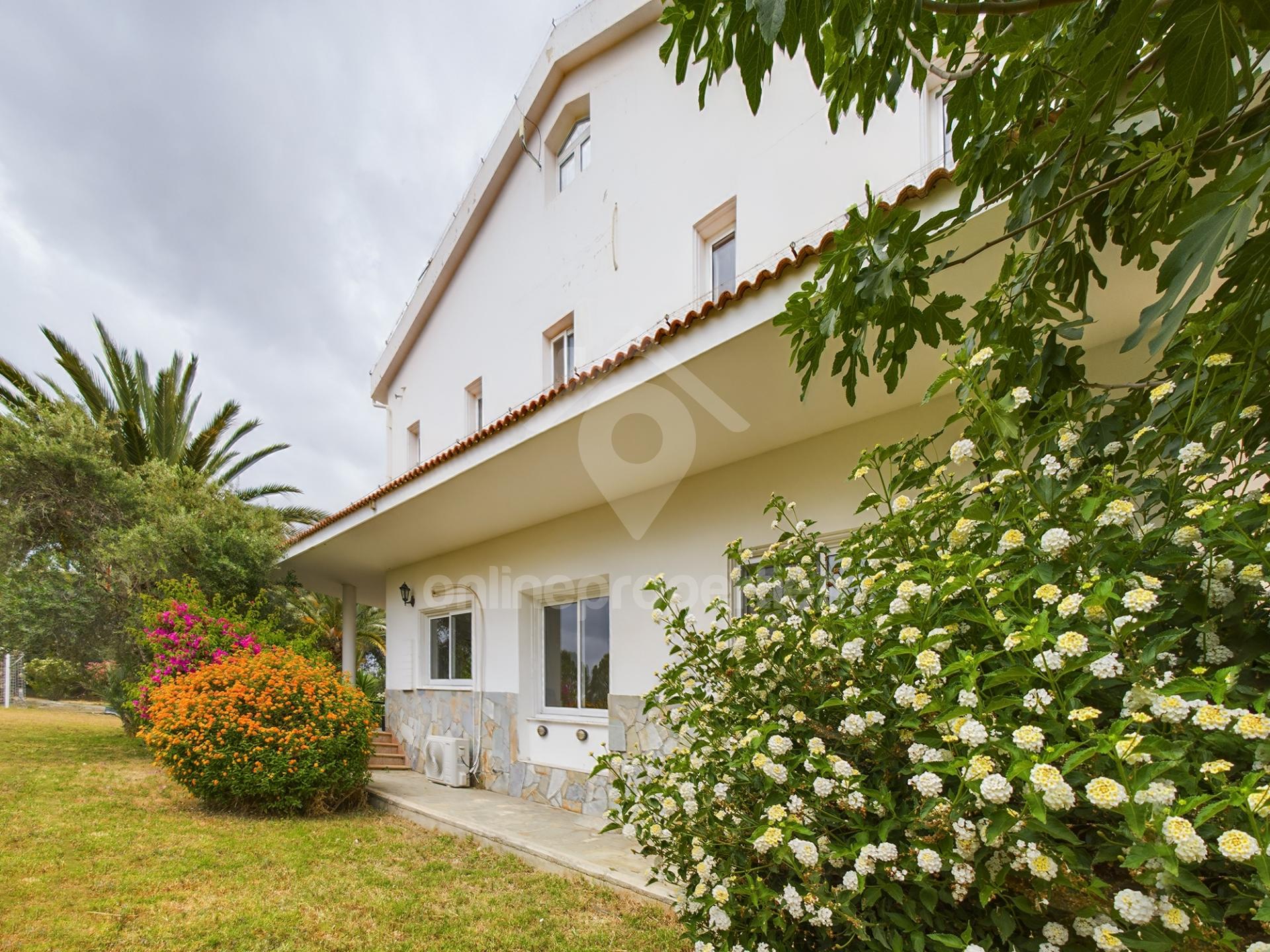 To change image, hover mouse over thumbnails below