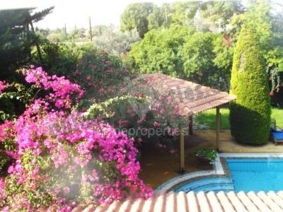 To change image, hover mouse over thumbnails below