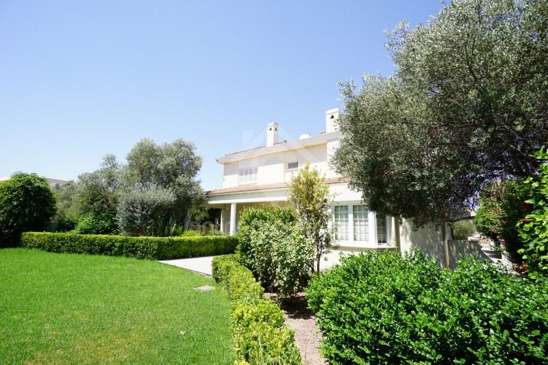 To change image, hover mouse over thumbnails below