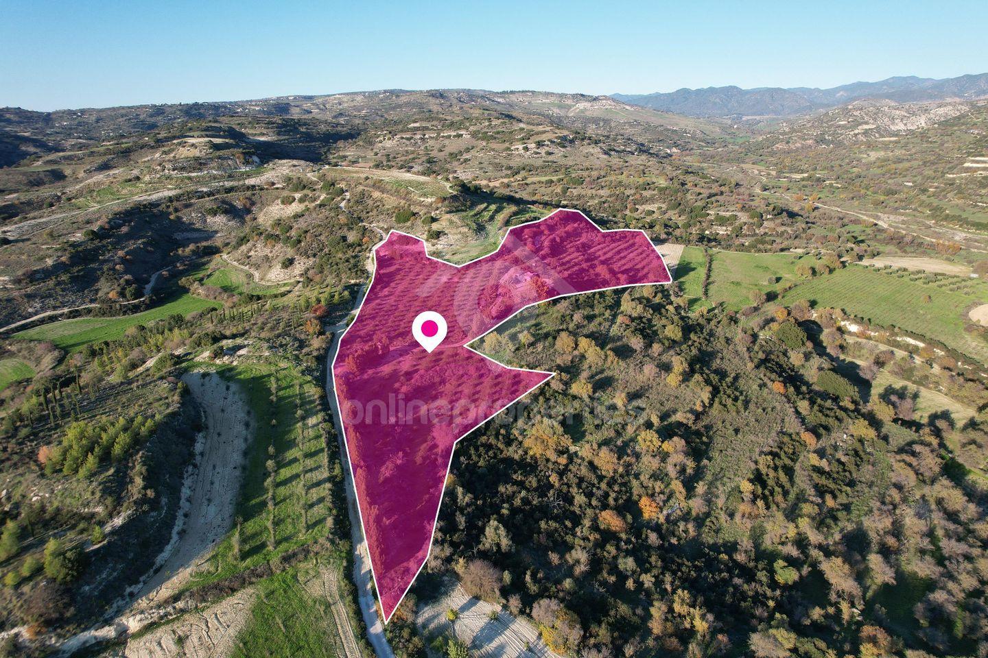 Agricultural field in Choulou, Paphos