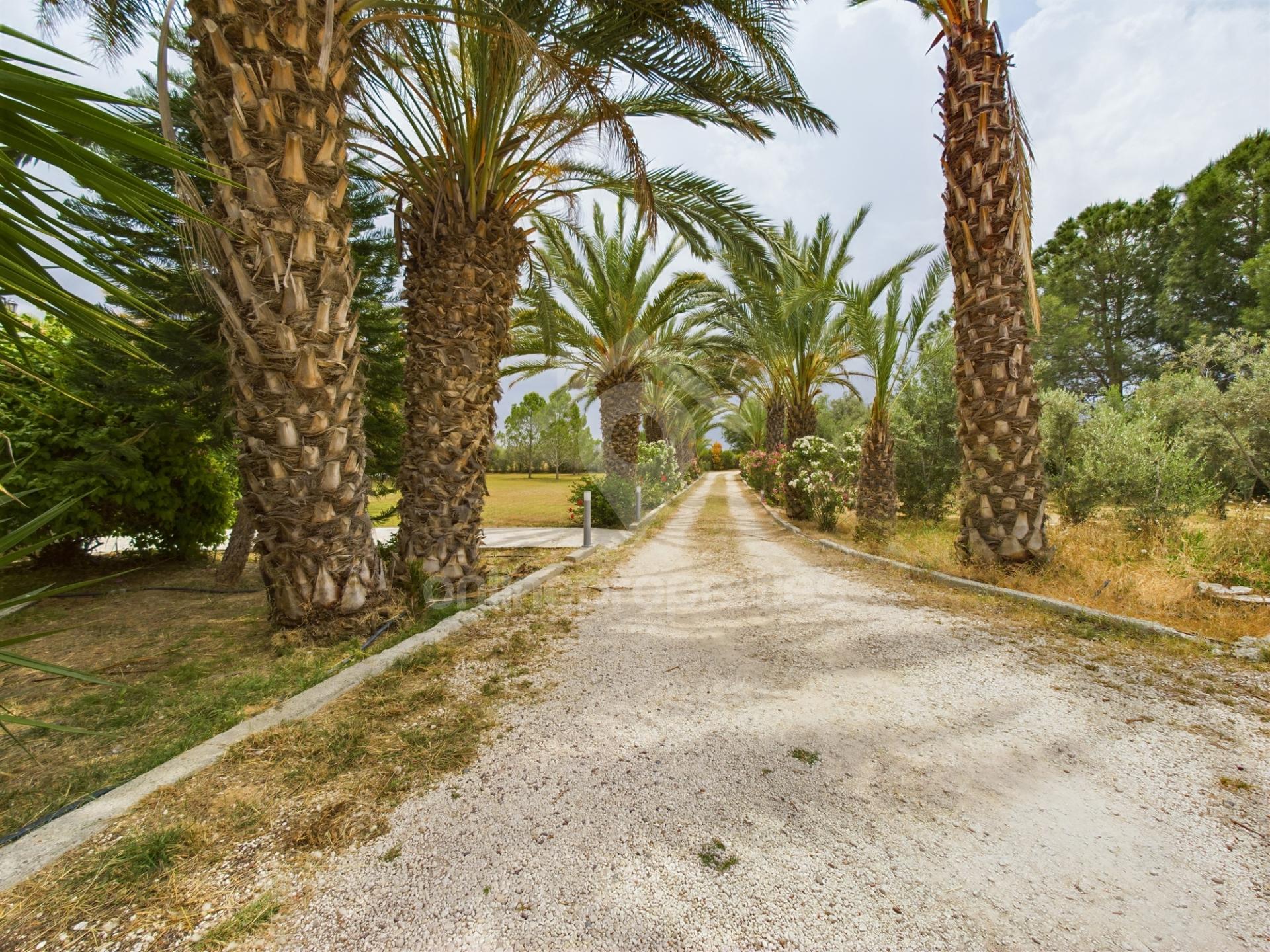 To change image, hover mouse over thumbnails below