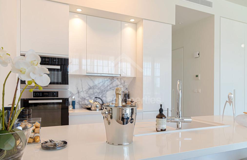 To change image, hover mouse over thumbnails below