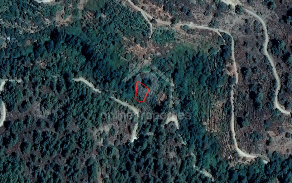 Share of Field in Moutoullas, Nicosia