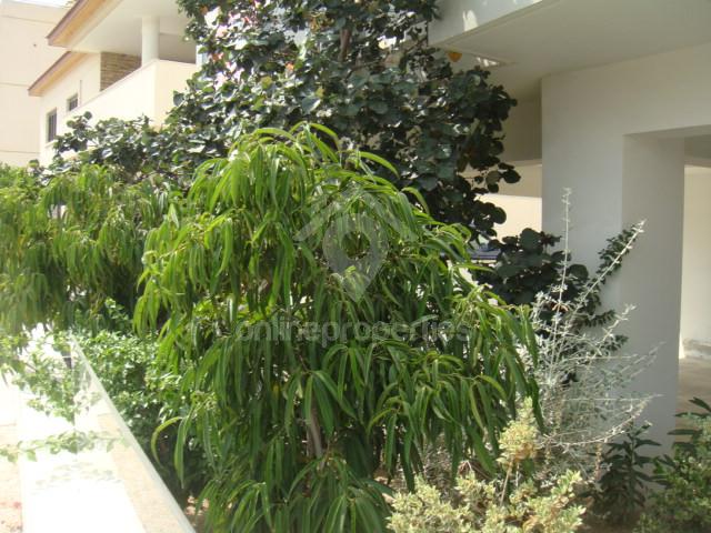 To change image, hover mouse over thumbnails below