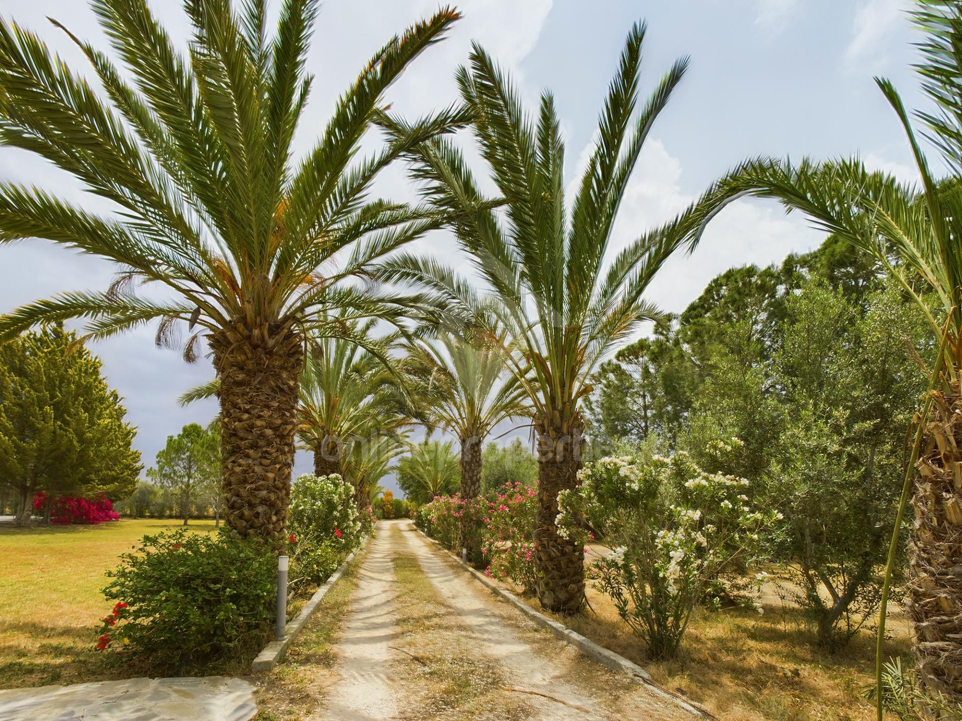 To change image, hover mouse over thumbnails below