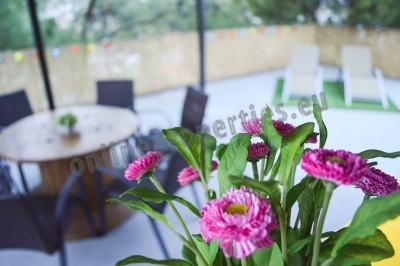 To change image, hover mouse over thumbnails below