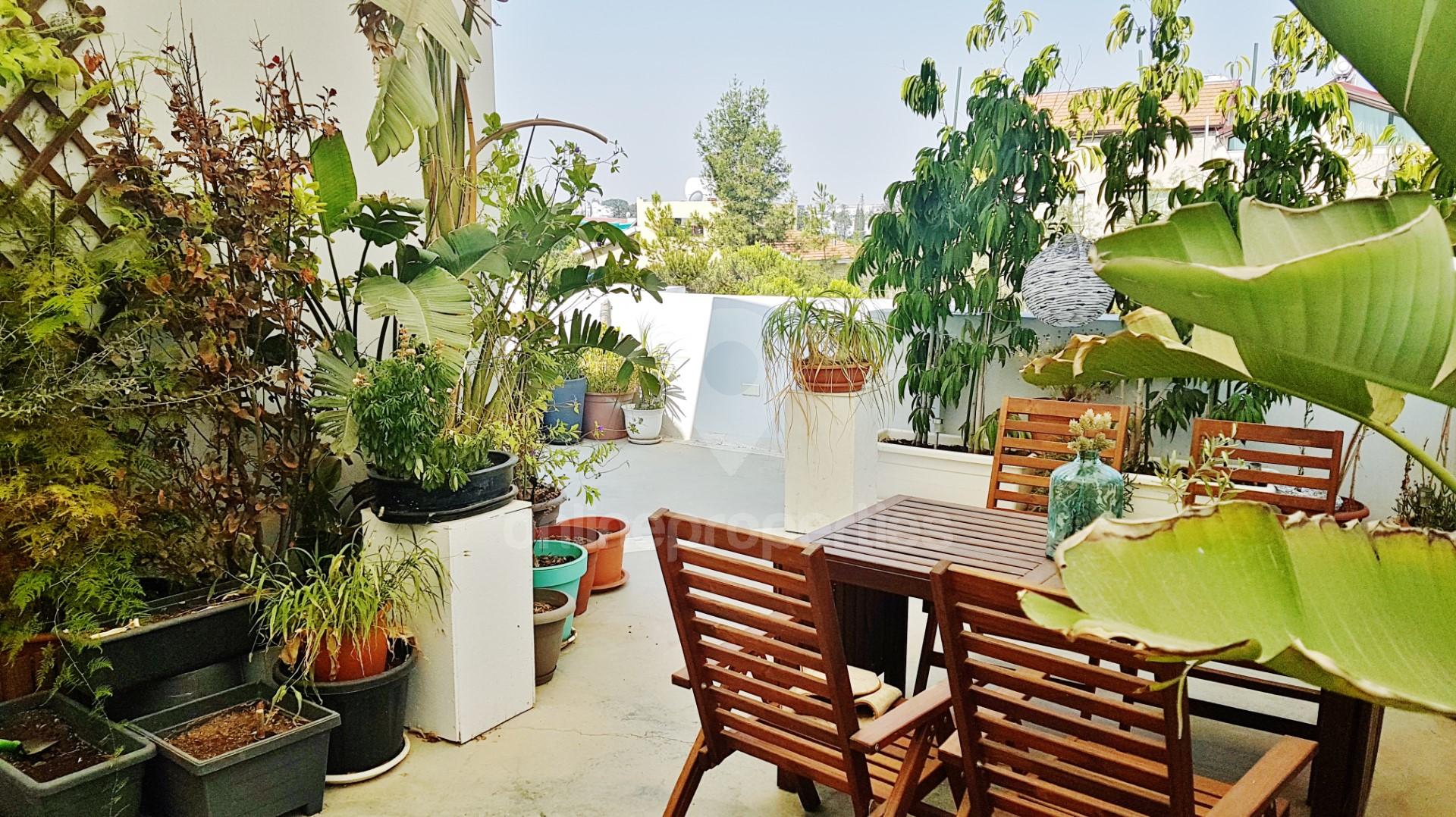 To change image, hover mouse over thumbnails below