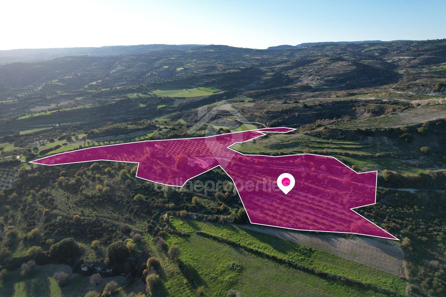 To change image, hover mouse over thumbnails below