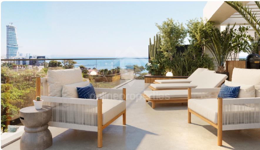 To change image, hover mouse over thumbnails below